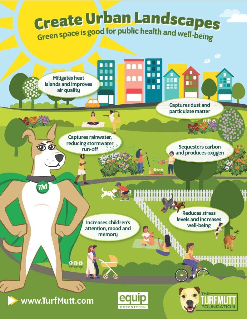 Create Urban Landscapes